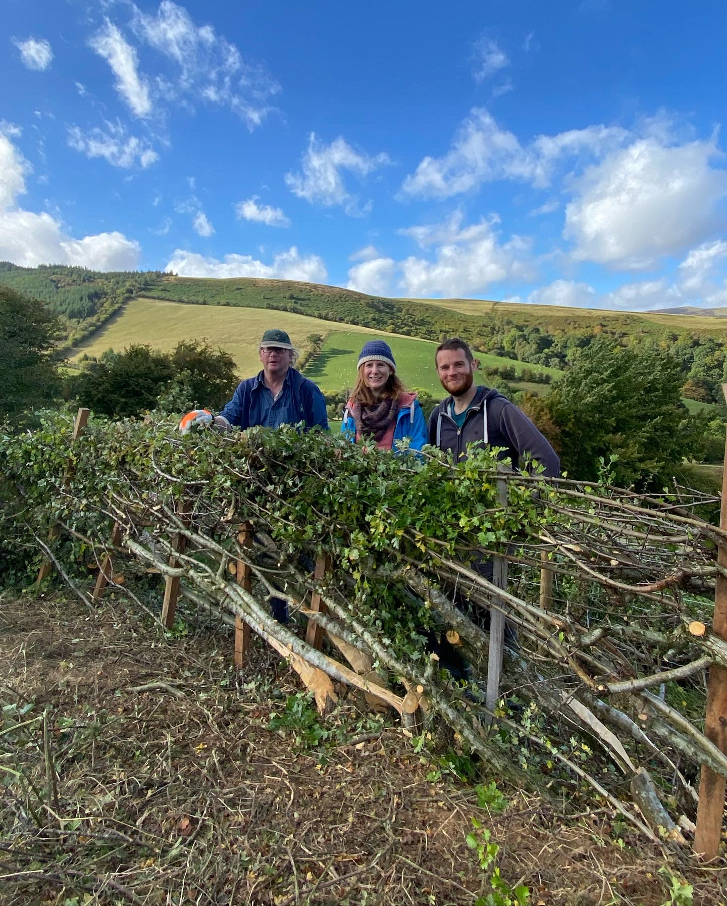View over Dolydd Gobaith